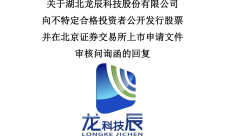 红板科技IPO二轮问询，招股书披露市场份额和排名准确性受关注