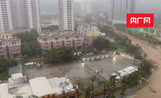 直面“桦加沙” 粤琼上市公司提前布防稳生产