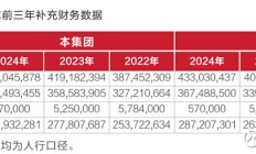 营收净利双降 中国中免境外寻增