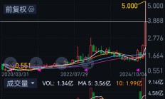 储开荣被选举为弘业期货董事长