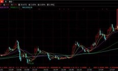 掌阅科技实控人张凌云减持860万股股份 合计套现金额超1.46亿元