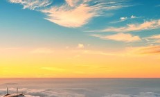 一天之内，两只“日光基”出现！