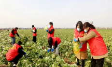 道交基金“速”达民生、百区百镇“暖”聚人心、林险行动“深”耕善治——中国人寿山西社会治理服务新范式 　　