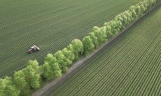 央行等三部门：要围绕粮食等重要农产品稳产保供做好金融服务