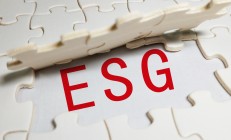 隆基绿能钟宝申：2025年公司将会率先回到增长轨道