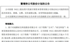 多家上市公司开启年内第二次回购 彰显发展信心