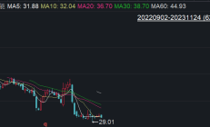 天力锂能将延期两日发布半年报 股价剧烈波动已跌近10%