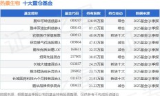 业绩倒数基金“找出路”，富荣价值精选竟“由股转债”？