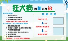 艾美无血清狂犬疫苗获受理上市注册 重新定义无血清狂犬病疫苗