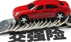 人保车险|新手上路，车险让你更安心！