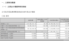 双鹭药业上半年净利降逾九成