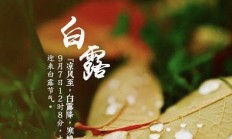 节气物候图鉴：白露至凉意生 全国玉露生凉地图看哪里率先迎秋凉