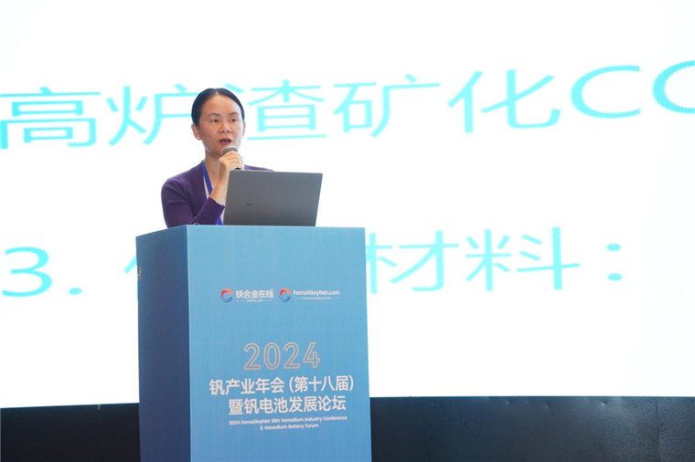 2024恒安储能创新峰会举办 锌溴液流电池产业化提速