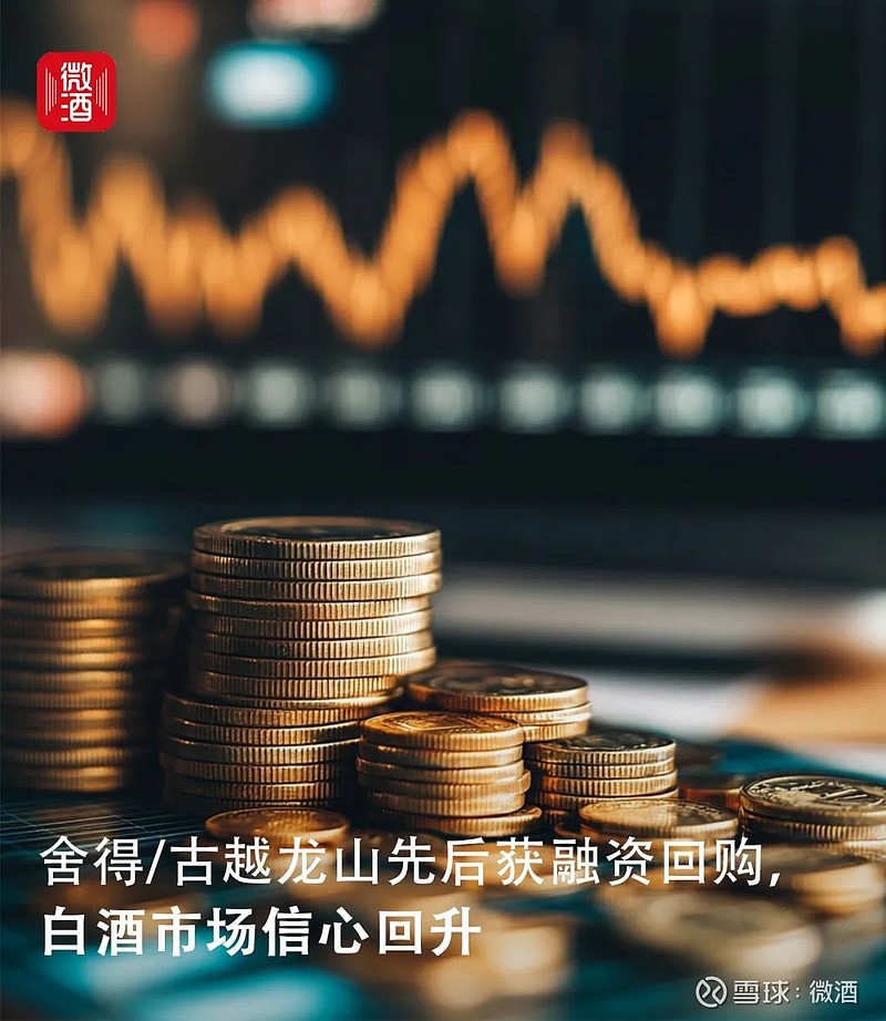 铁锂双轮驱动初步成型，大中矿业高管连续增持彰显信心