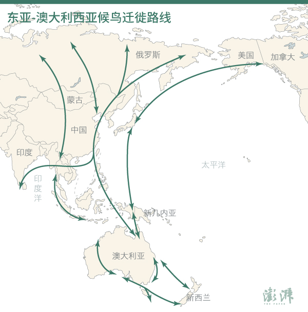 第一批“候鸟”启程：降温后一周“候鸟老人”订单增两成 南方冬季长租房预订量翻番