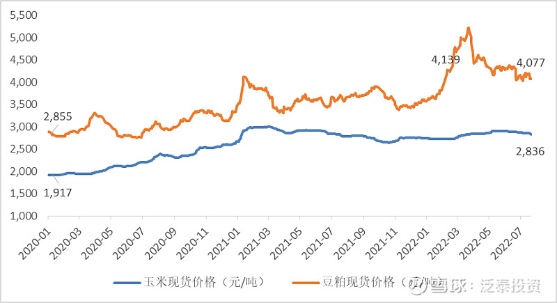白羽肉鸡龙头企业积极寻求突破 相关上市公司上半年业绩显著分化