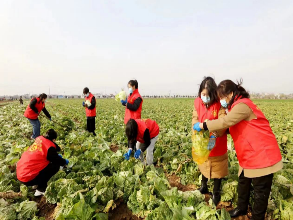 道交基金“速”达民生、百区百镇“暖”聚人心、林险行动“深”耕善治——中国人寿山西社会治理服务新范式 　　