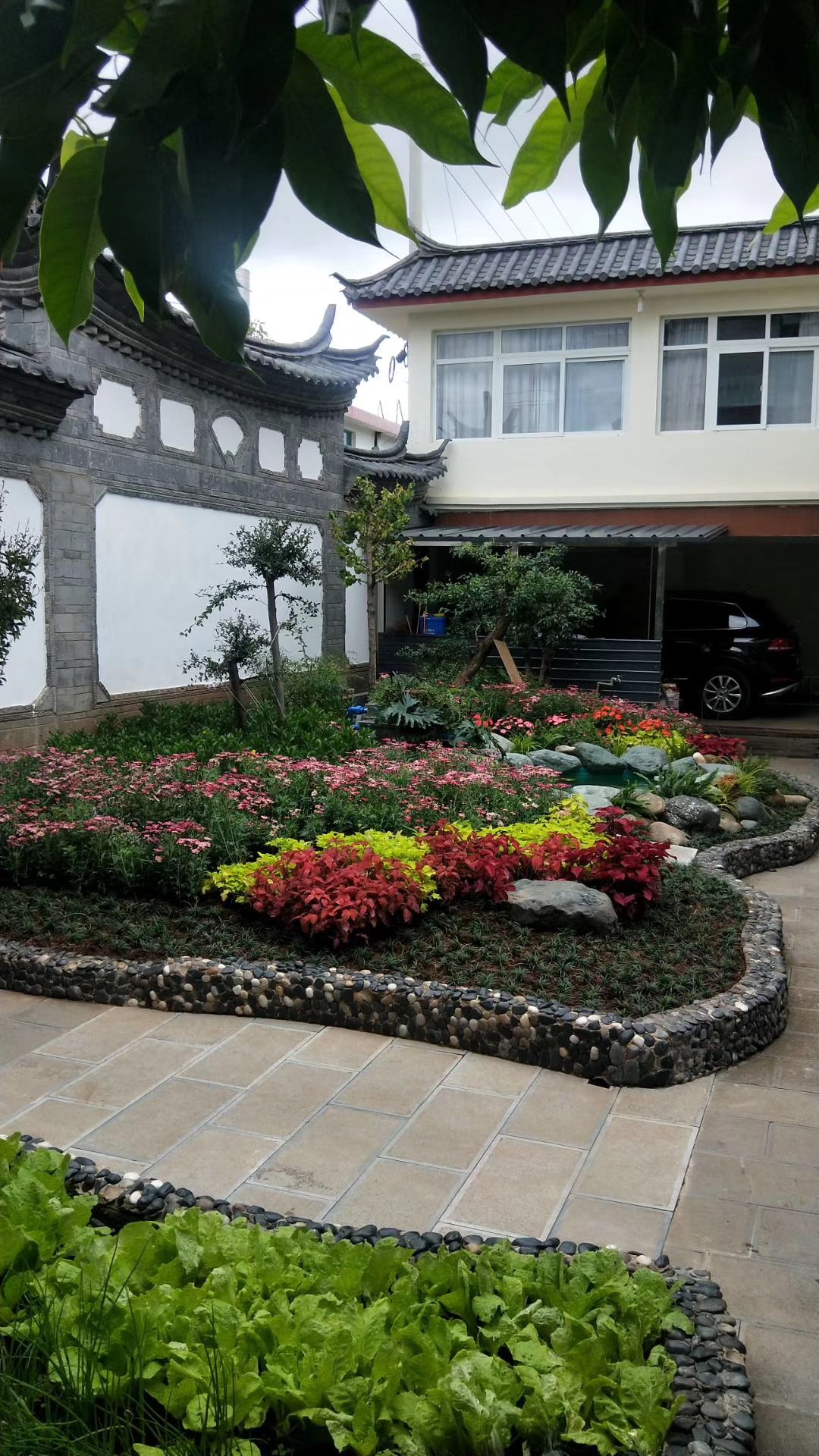 星耀科创板：从一块试验田到满园繁花