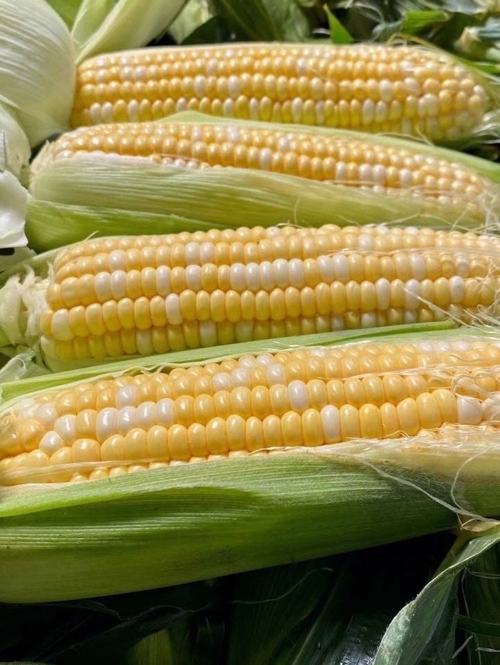 鸡蛋、玉米淀粉、生猪期权上市一周年 产业参与有序 功能稳步发挥