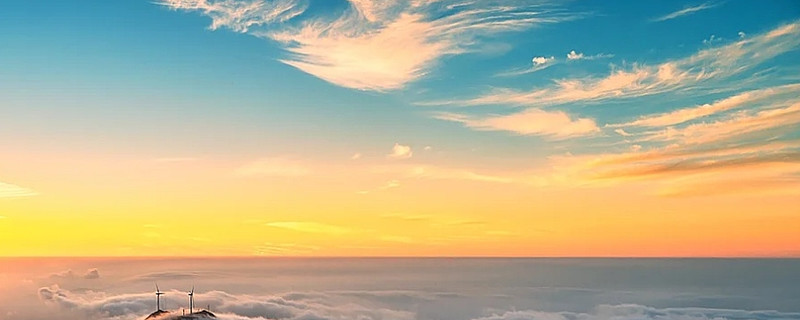 一天之内，两只“日光基”出现！