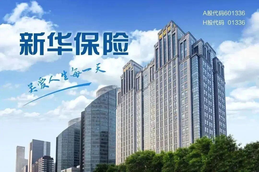 新华保险积极参与长期资金入市试点改革 鸿鹄基金三期计划累计出资462.5亿元 　　