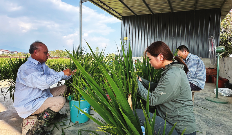 两融余额量质齐升释放积极信号
