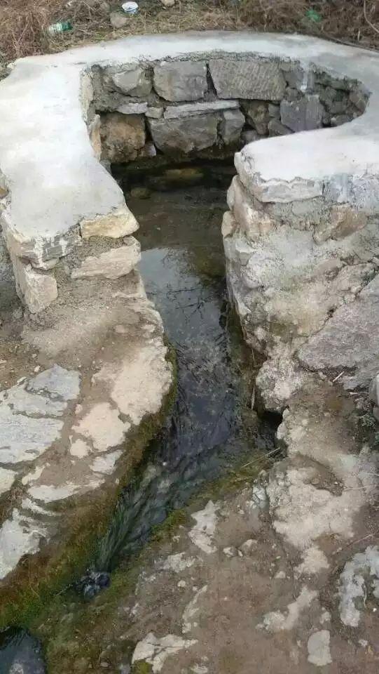 研发“活水”源源不断 上市公司向“新”而行