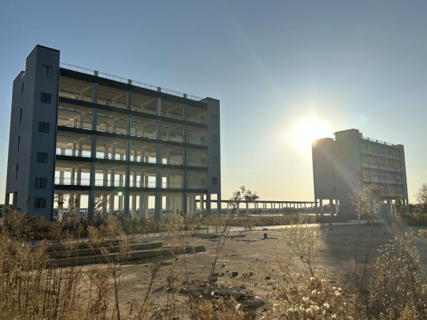 向日葵欲跨界半导体领域 股价提前异动谁在抢筹？